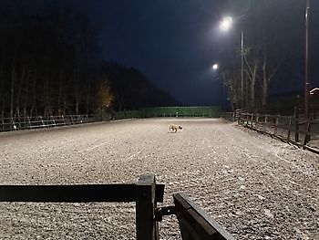 Buitenbak met verlichting Stal Esther Midwolda