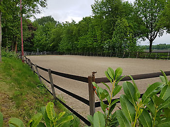 Paarden pensionstalling Stal Esther Midwolda