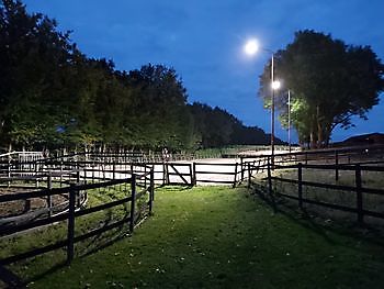 Verlichte buitenbak Stal Esther Midwolda